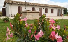 Agriturismo Le Serre